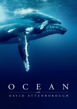 Filmplakat David Attenborough: Ocean